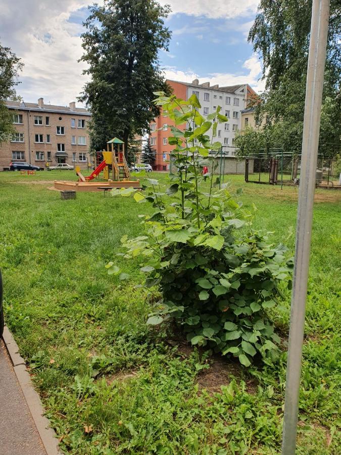 Apartament Erfolg 6 Leilighet Daugavpils Eksteriør bilde